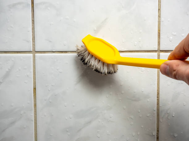 Best Emergency Mold Remediation in Smithsburg, MD